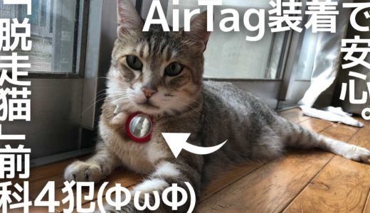 【紛失防止タグ】Apple AirTagを「脱走猫」前科４犯につけて運用三ヶ月目〜AirTag用ケースを変えてみました。